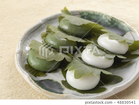 Kashiwa mochi 48830541