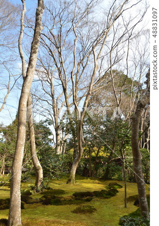 Gio temple Gio temple 48831097