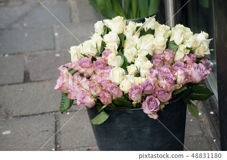 closeup of pink and white roses at the florist closeup of pink and white roses at the florist 48831180