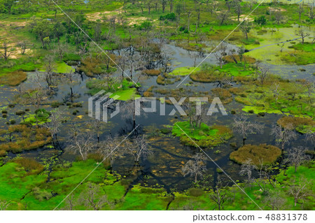Aerial landscape in Okavango delta, Botswana. Aerial landscape in Okavango delta, Botswana. 48831378