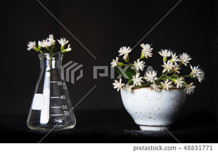 science glass flask with flower with ceramic cup science glass flask with flower with ceramic cup 48831771