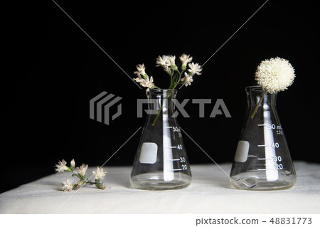 classic retro white flower with science flask classic retro white flower with science flask 48831773