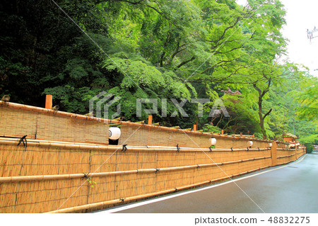 夏季特色船Yoshins圍繞著河床 48832275