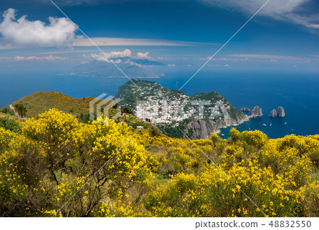 Capri, view with broom from Monte Solaro 48832550