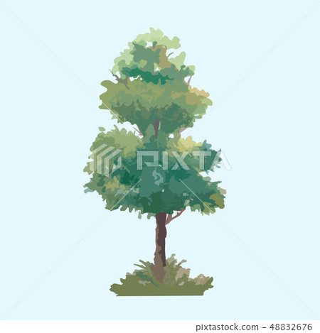 watercolor tree Hand Drawn vector illustration 48832676