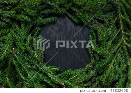 Christmas background. Black background. Real tree 48832698