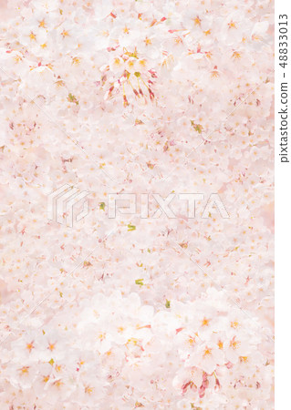 Cherry Blossoms Cherry Blossoms 48833013