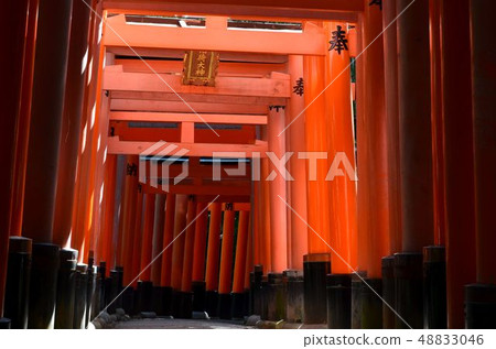 Fushimi Inari Taisha daytime Fushimi Inari Taisha daytime 48833046