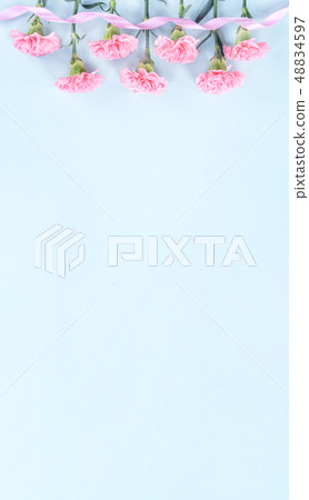 Mother's Day Yasuno Kaoru Sendoku Katona Top View Mockup Mother's Day carnation Mother's Day Yasuno Kaoru Sendoku Katona Top View Mockup Mother's Day carnation 48834597