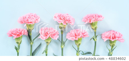 Mother's Day Yasuno Kaoru Sendoku Katona Top View Mockup Mother's Day carnation 48834602