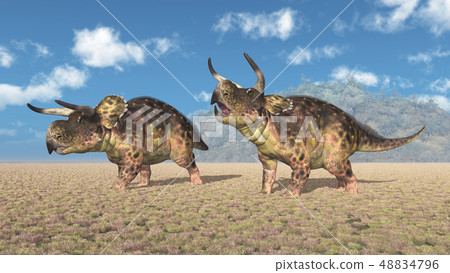 Dinosaur Nasutoceratops in a landscape 48834796