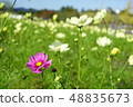 Cosmos 48835673