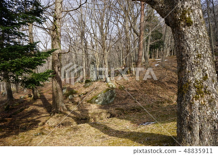 世界遺產Hashino鐵礦 世界遺產Hashino鐵礦 48835911