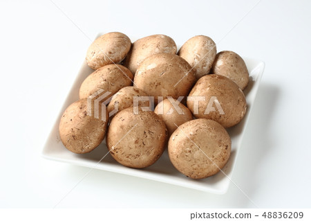 Brown mushroom 48836209