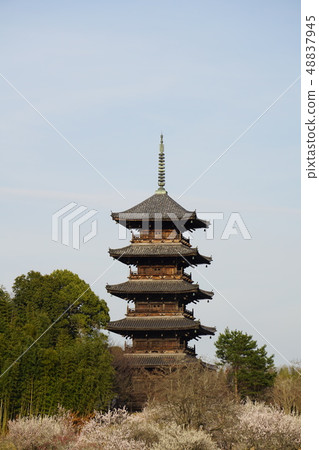 Five-story pagoda at Bitchu-Kokubunji Temple in early spring evening, Soja City, Okayama Prefecture 48837945