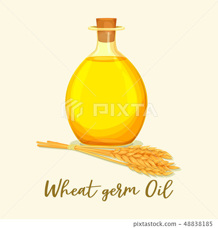 Wheat germ oil in glassware bottle near ear Wheat germ oil in glassware bottle near ear 48838185