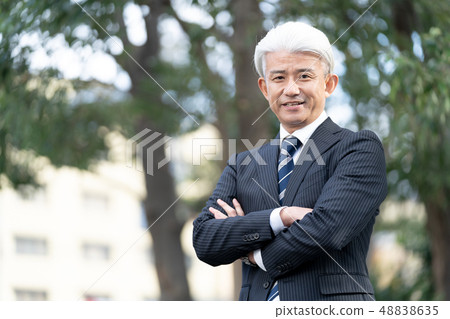 Senior male executive 48838635