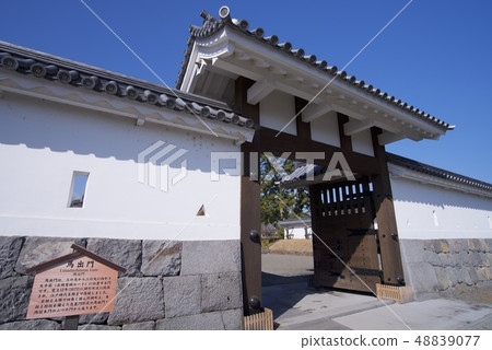 Odawara Castle (Maadmen) 48839077