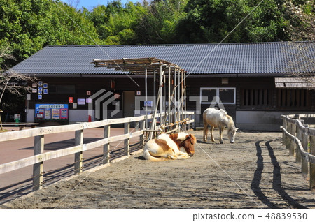 小田原兒童森林公園 小田原兒童森林公園 48839530