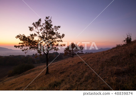 Morning in Central Bohemian Uplands, Czech 48839874