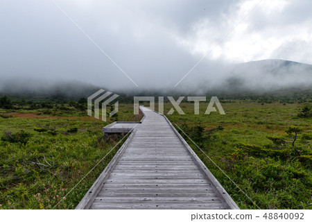 Jodo平原的木板路 Jodo平原的木板路 48840092