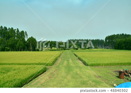 Hachinohe線車窗風景 48840302