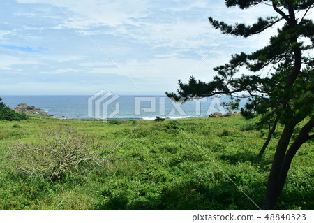 Hachinohe線車窗風景 Hachinohe線車窗風景 48840323