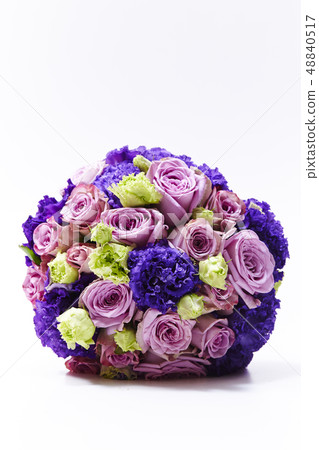 Pink Rose Bouquet White Background Copy Space 48840517