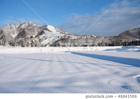 冬天的下午 48841509