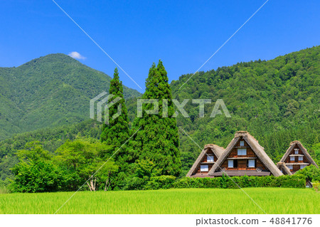Gifu _ Shirakawago in Midsummer _ Sunny 48841776