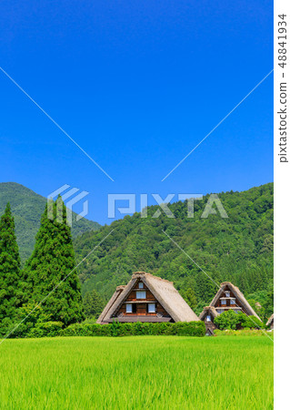 岐阜_白川鄉在仲夏_陽光明媚 岐阜_白川鄉在仲夏_陽光明媚 48841934