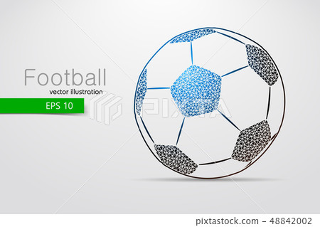 silhouette of a soccer ball from triangles 48842002