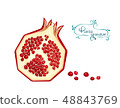 Pomegranate,malogranatum, Punica granatum 48843769