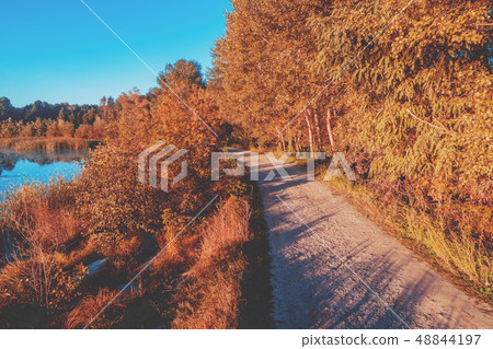 Rural landscape in the evening. The country road Rural landscape in the evening. The country road 48844197