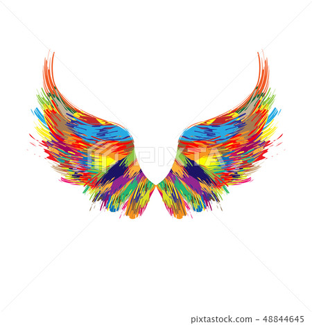 Color wings silhouette Color wings silhouette 48844645