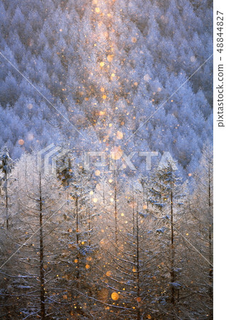 Kirigamine fog ice and diamond dust and sun pillar Kirigamine fog ice and diamond dust and sun pillar 48844827