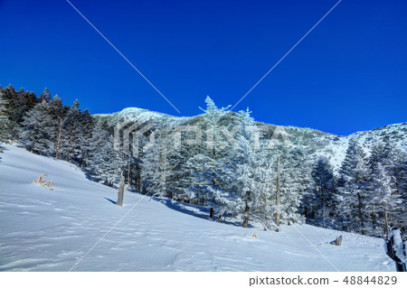 斯諾伊校長 斯諾伊校長 48844829