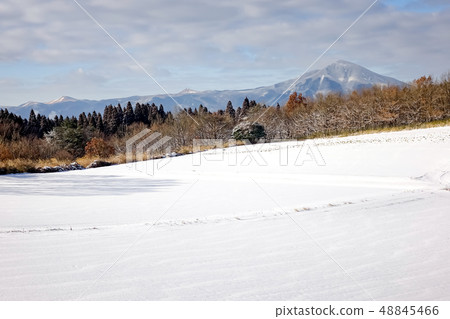 Iida Heights Oishihara Iida Heights Oishihara 48845466