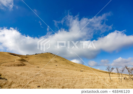 第一眼山冬景 第一眼山冬景 48846120