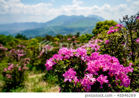 Miyama Kirishima Kizukayama 48846269