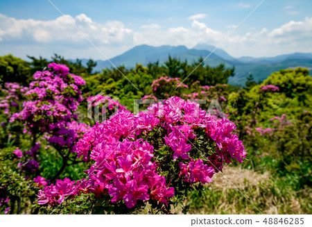 Miyama Kirishima Kizukayama 48846285