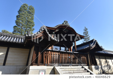 Myoshinji Temple 48846629