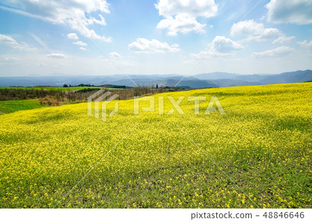 強姦開花龜石通 強姦開花龜石通 48846646