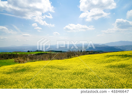 強姦開花龜石通 48846647