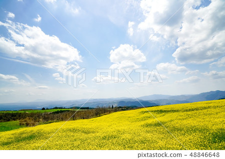 強姦開花龜石通 48846648