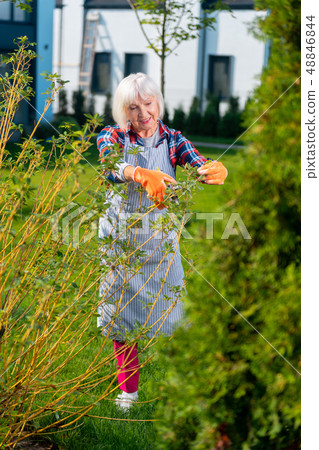 Involved nice woman working in the garden Involved nice woman working in the garden 48846844