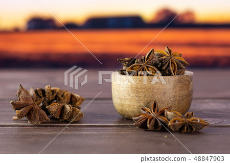 Dry brown star anise fruit autumn field behind Dry brown star anise fruit autumn field behind 48847903