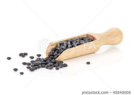 Black lentils beluga isolated on white Black lentils beluga isolated on white 48848006
