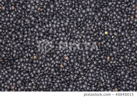 Black lentils beluga isolated Black lentils beluga isolated 48848015