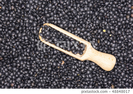 Black lentils beluga isolated Black lentils beluga isolated 48848017